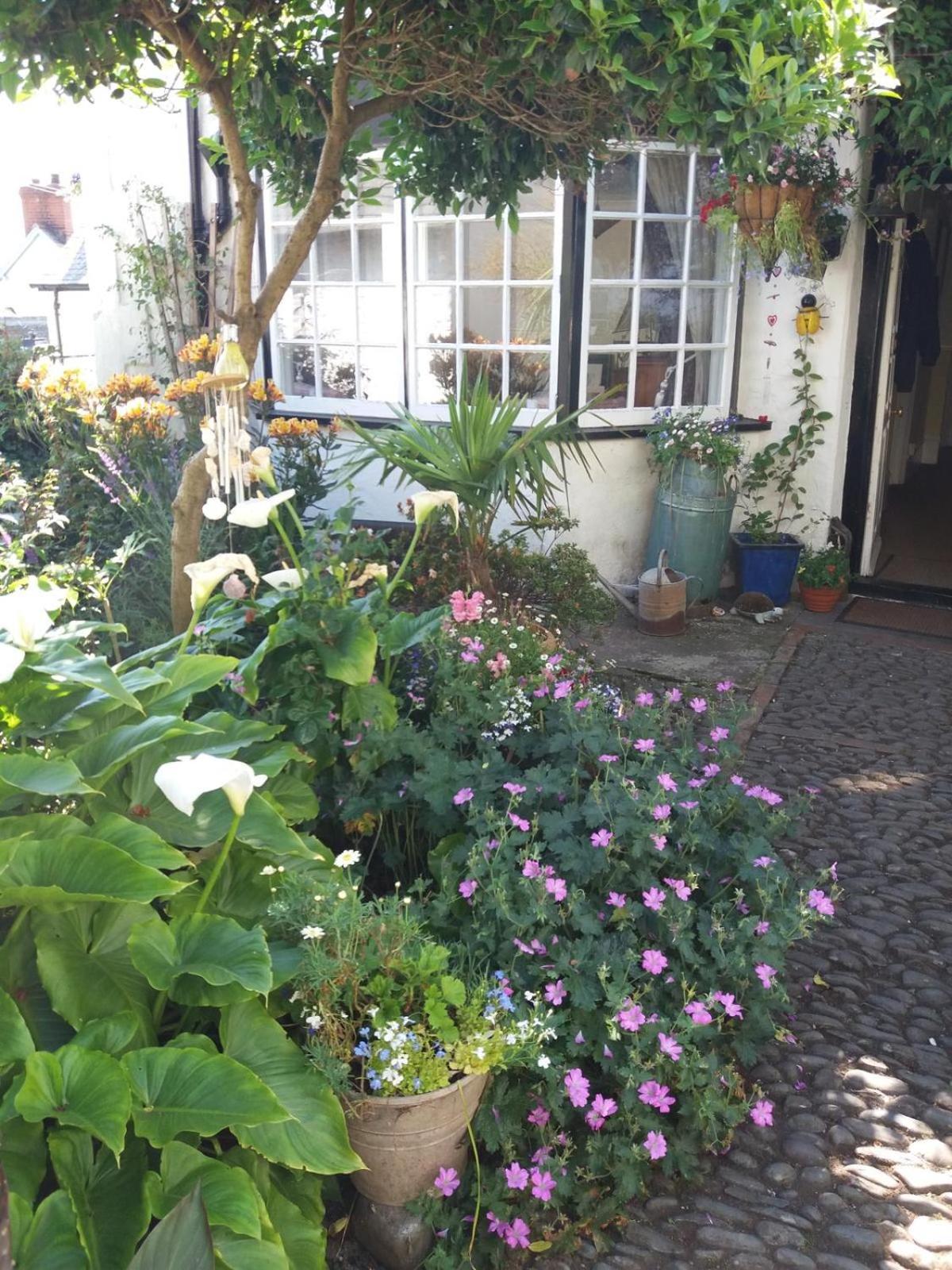 Harbour View Cottage, Clovelly Exterior foto