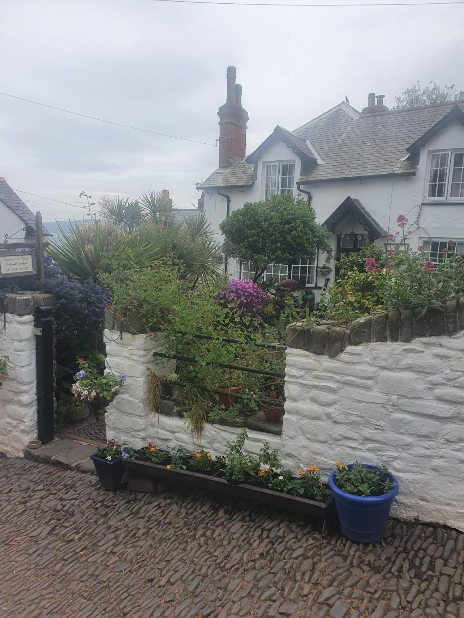 Harbour View Cottage, Clovelly Exterior foto