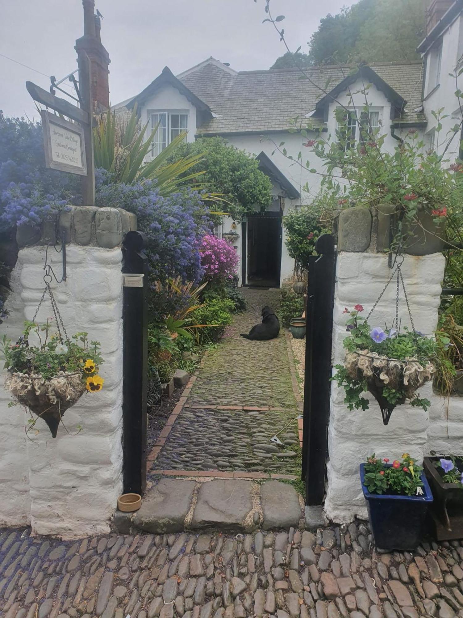 Harbour View Cottage, Clovelly Exterior foto